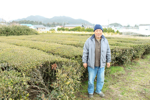 Natural farming Premium Sencha Japanese green tea Ise 100g